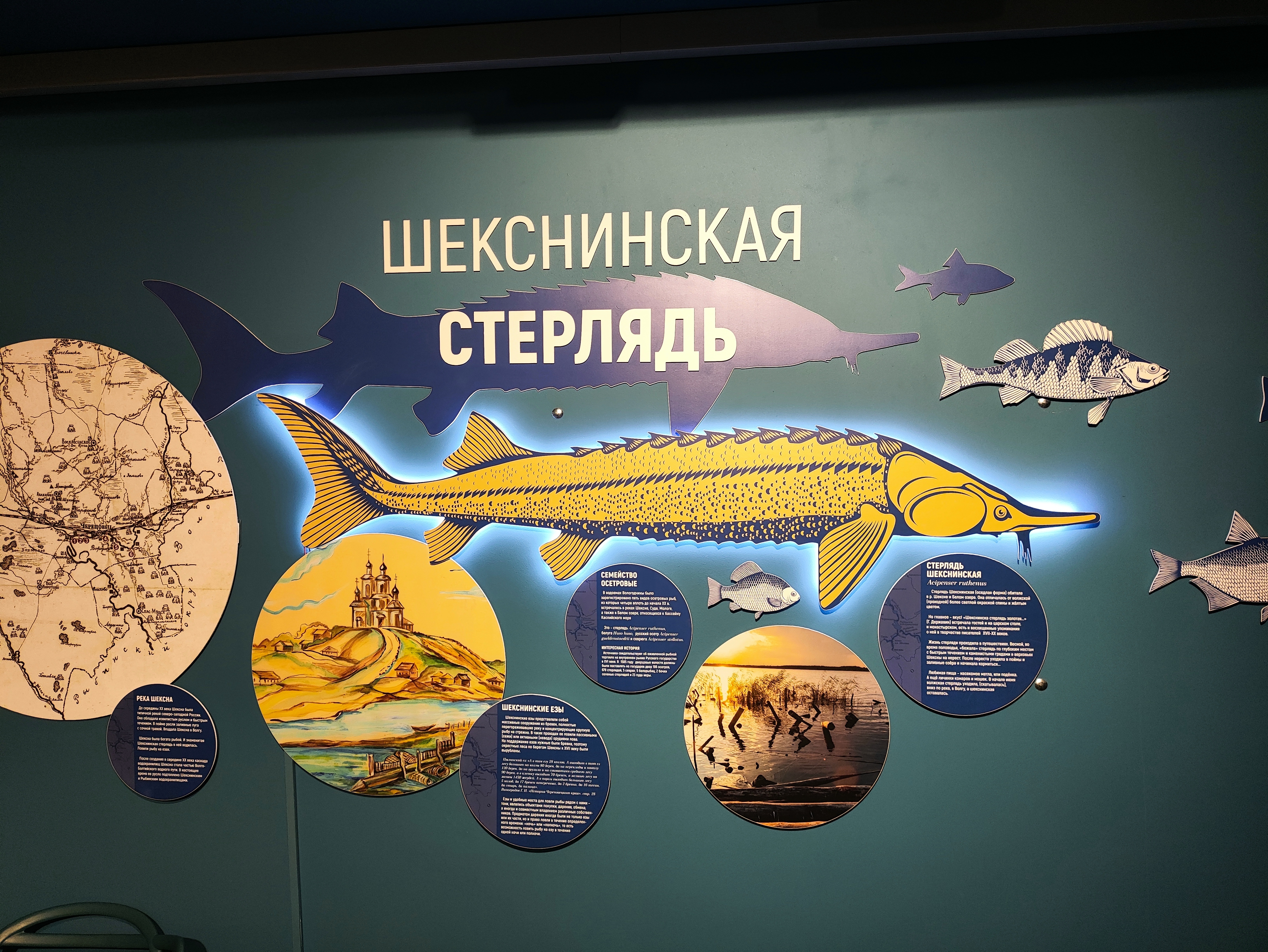 Что посетить и посмотреть в Череповце? Что посетить и посмотреть в Череповце?